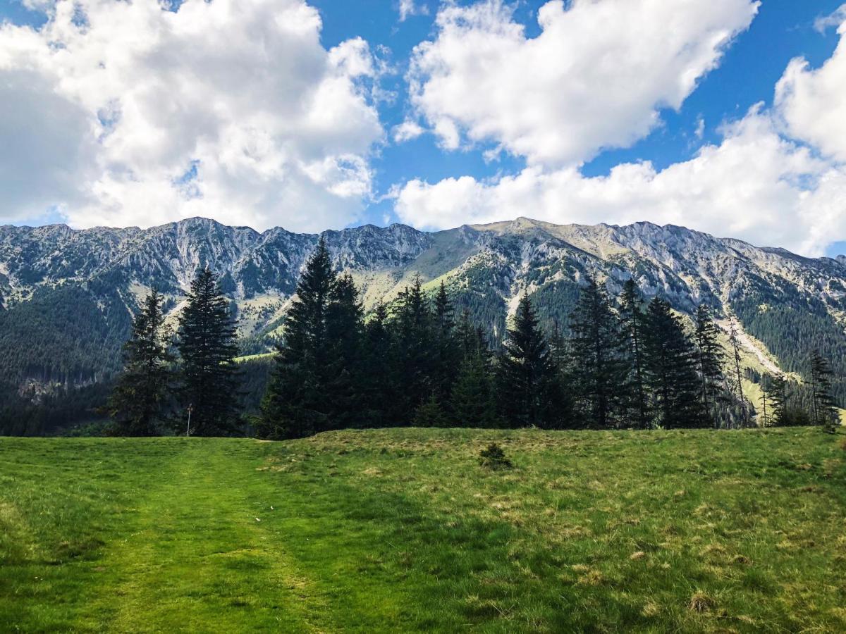 Pensiunea Aliart Zărneşti Bagian luar foto