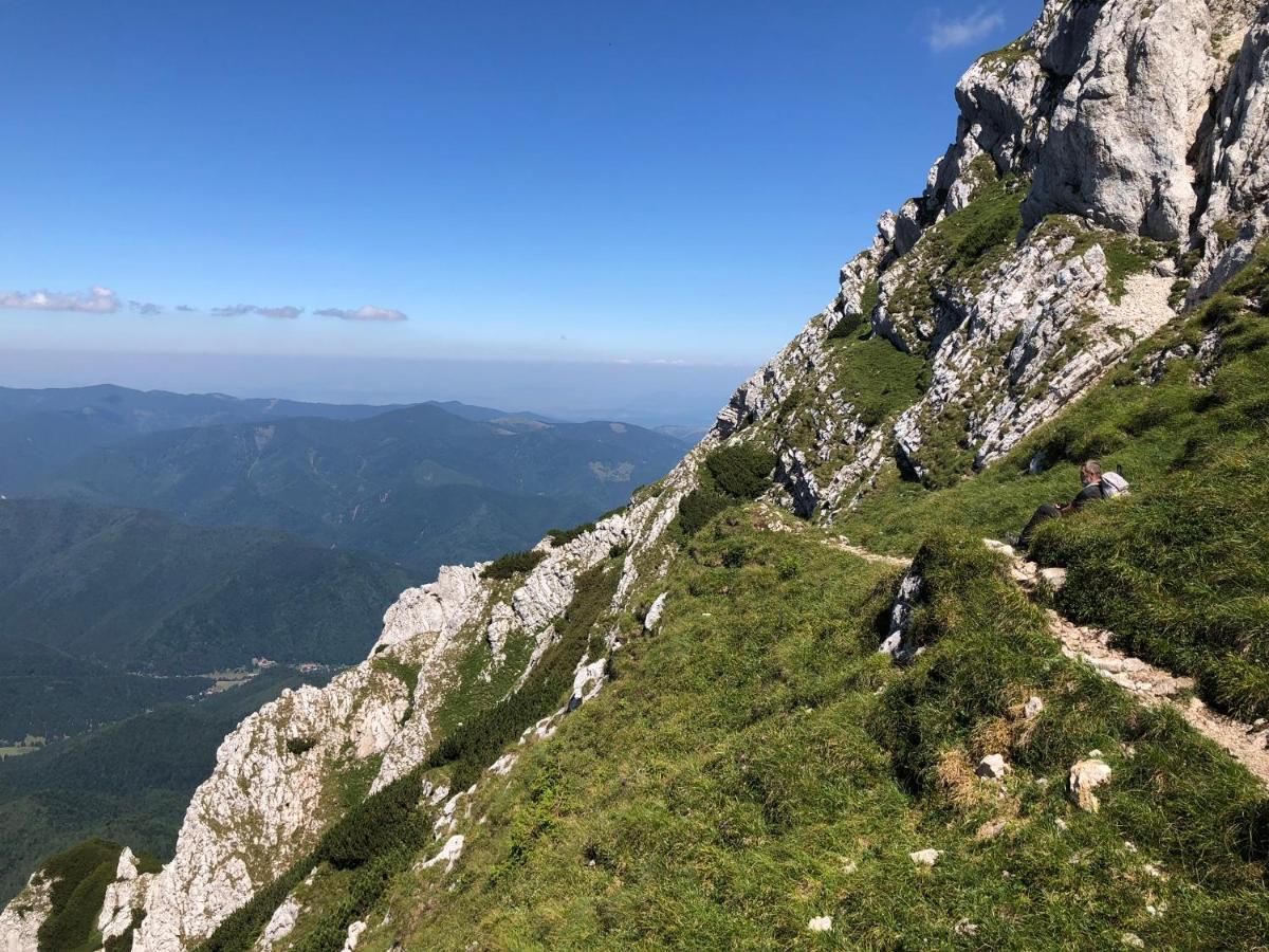 Pensiunea Aliart Zărneşti Bagian luar foto