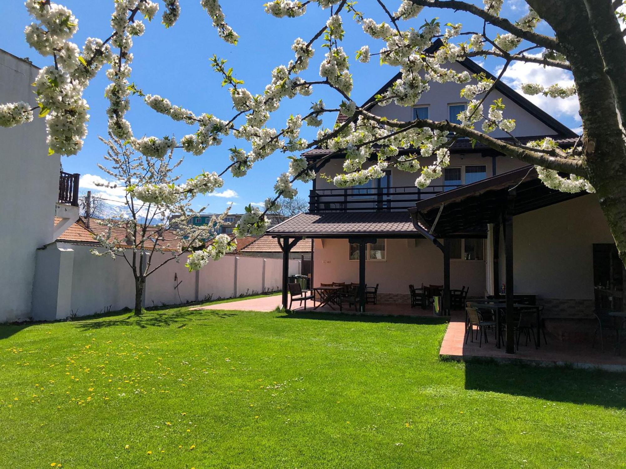 Pensiunea Aliart Zărneşti Bagian luar foto