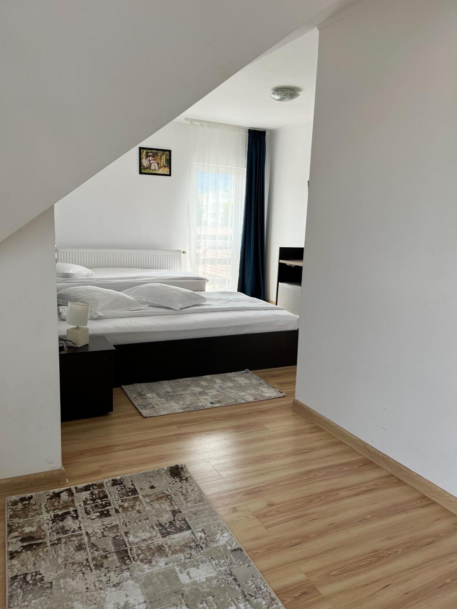Pensiunea Aliart Zărneşti Bagian luar foto